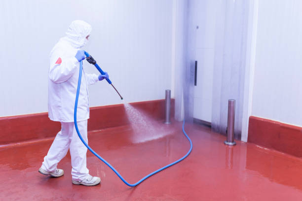 Professional  Pressure Washing Services in Edwardsburg, MI