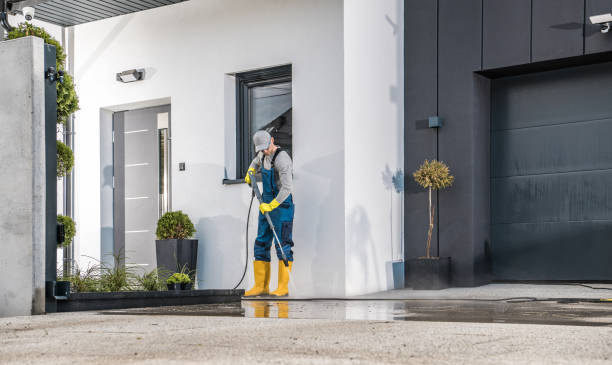 Best Graffiti Removal  in Edwardsburg, MI
